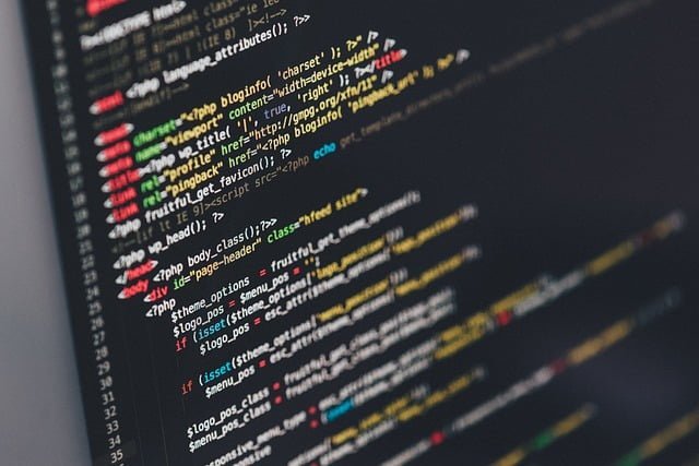 bisnis teknologi web development