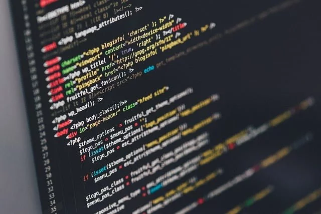 bisnis teknologi web development