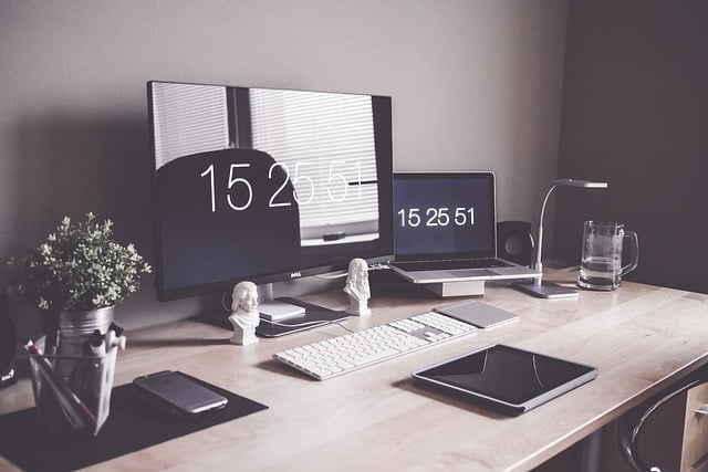 bisnis teknologi web development