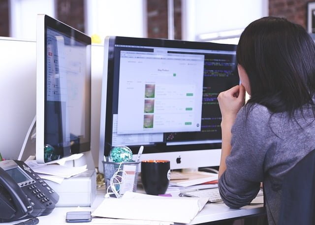 bisnis teknologi web development